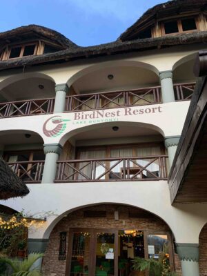 Birdnest Bunyonyi: A Complete Review