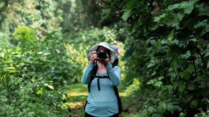 A female tourist in Bwindi NP Uganda A tourist in Uganda taking a photo