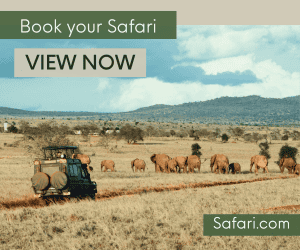 Safari holidays