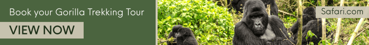 gorilla trekking in Uganda and Rwanda