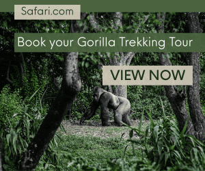 Gorilla trekking holiday
